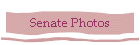 Senate Photos