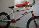 Bikewhte.jpg (34453 bytes)