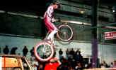 Shawn Miller on the 1999 Motorama Brochure.